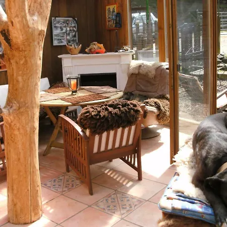 Funny-Farm Villa Sassen Exterior photo