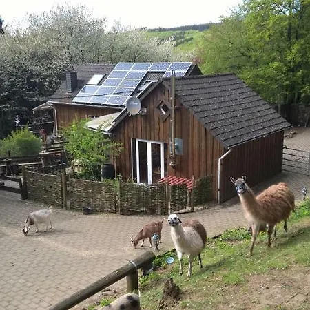 Funny-Farm Villa Sassen Exterior photo