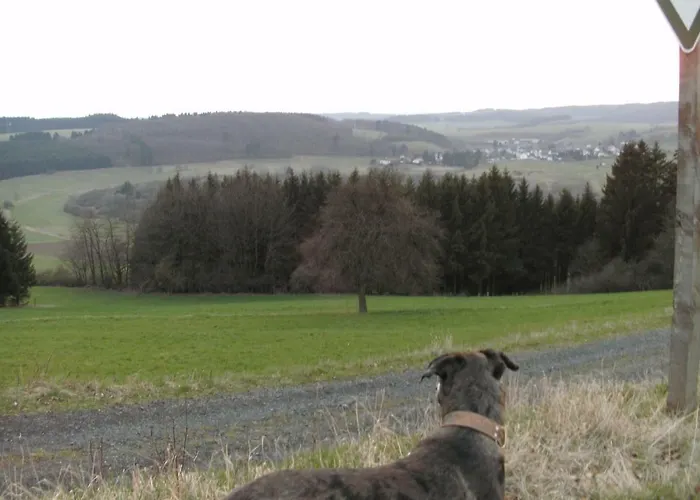 Funny-Farm