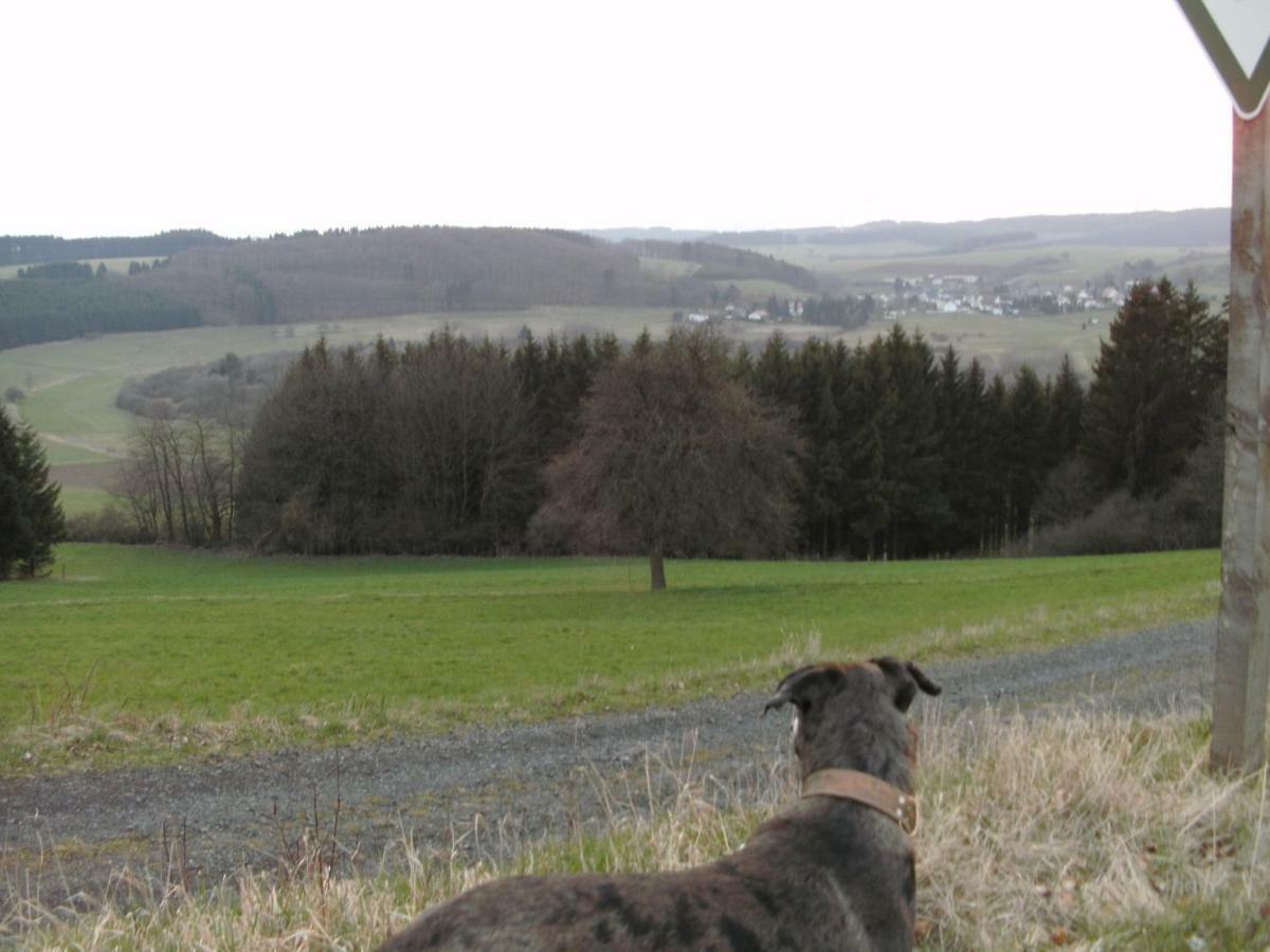 Funny-farm Farm stay