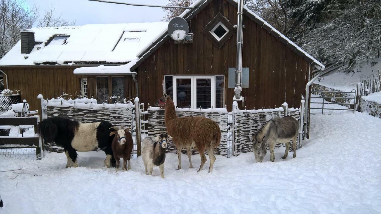 Farm stay Funny-farm *