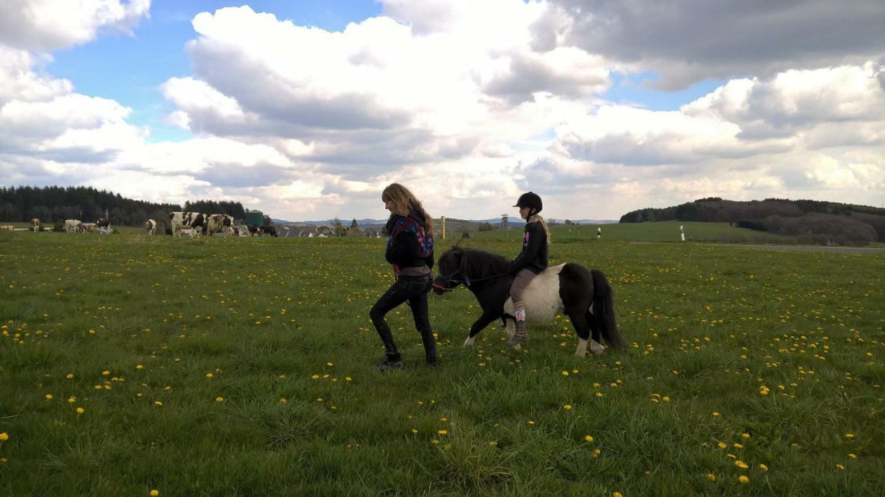 Farm stay Funny-farm Sassen