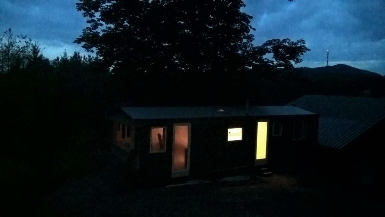 Funny-farm *